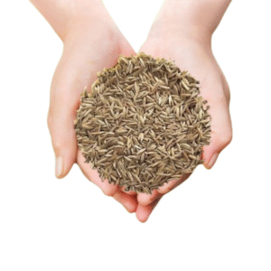 Ultimate Slope & Lawn Grass Seed Mix