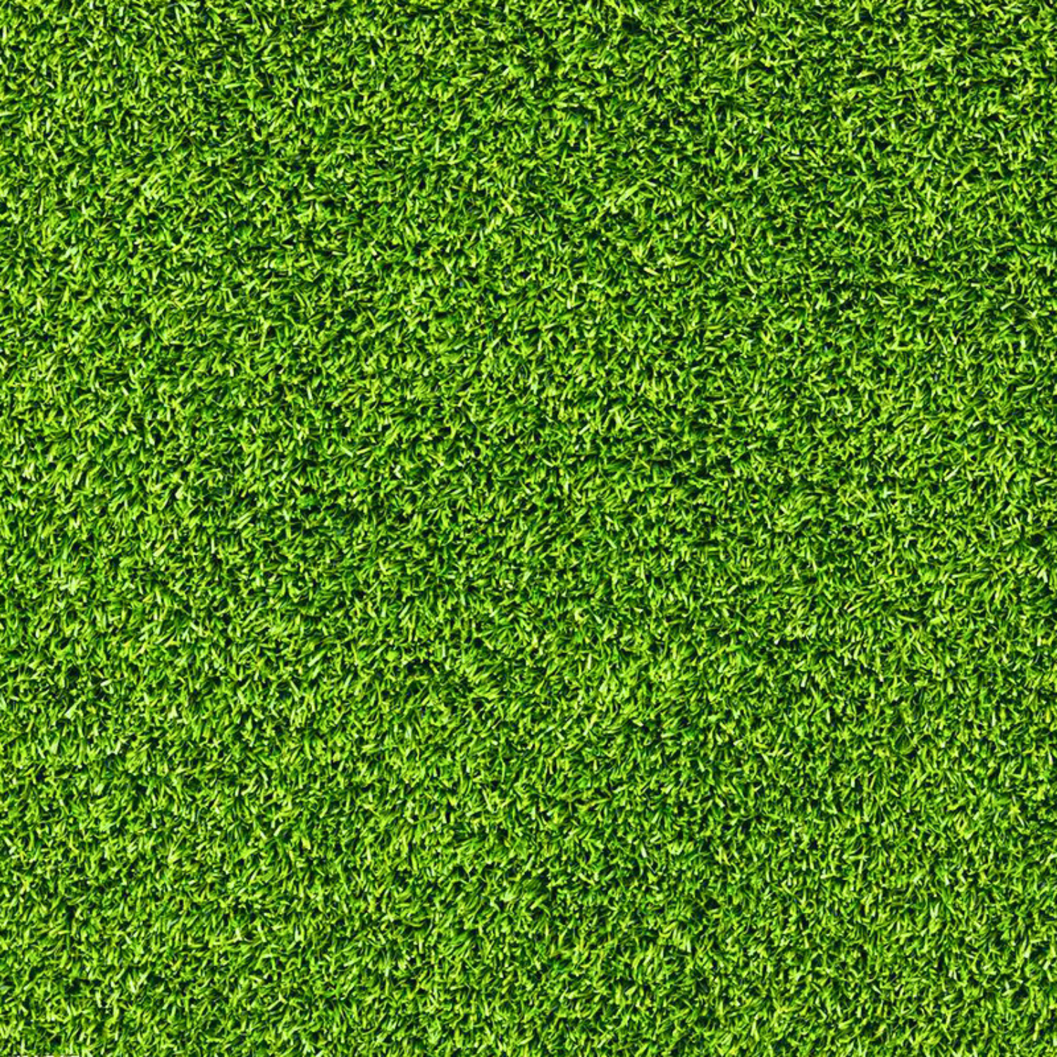 Ultimate Slope & Lawn Grass Seed Mix