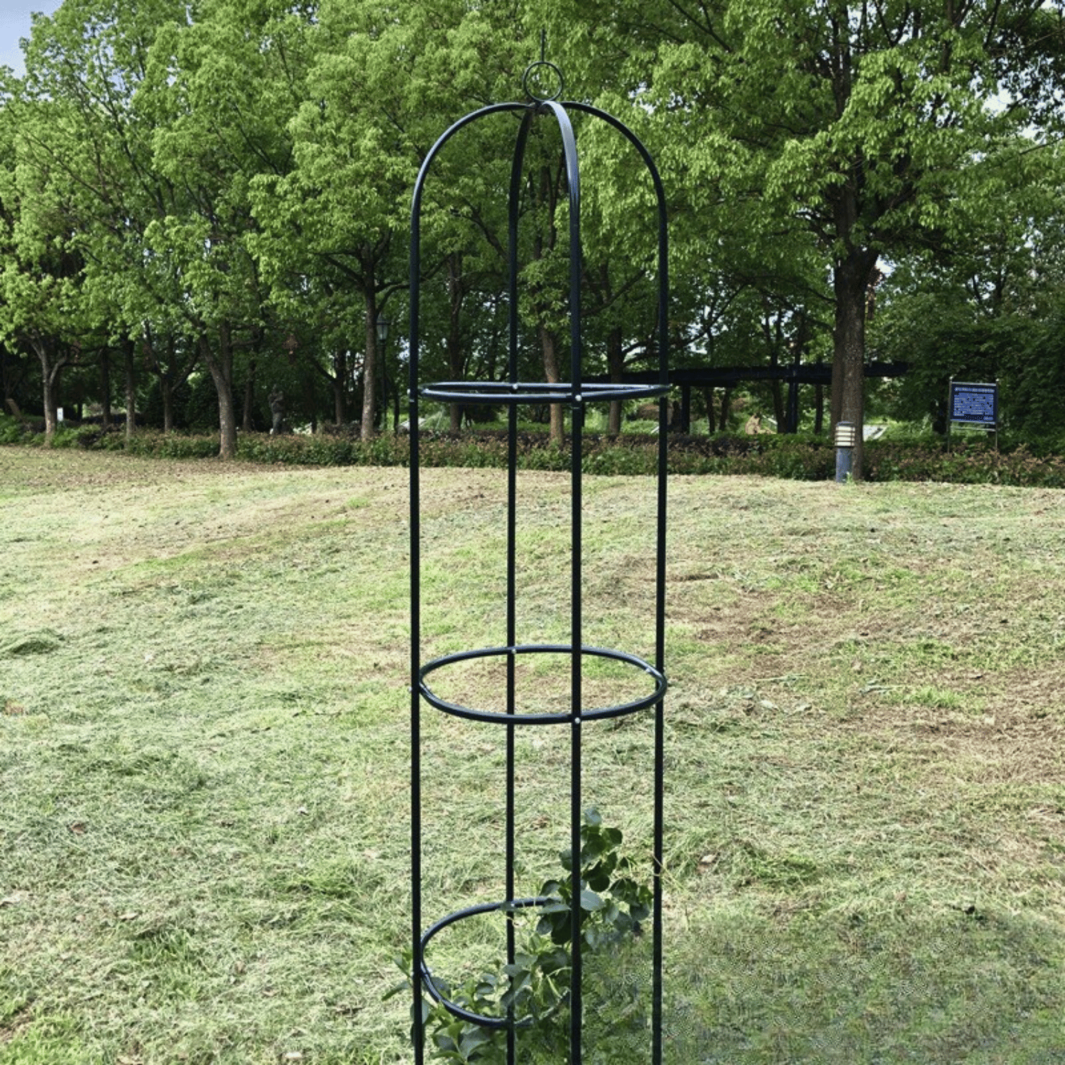 Plant Climbing Support Rack